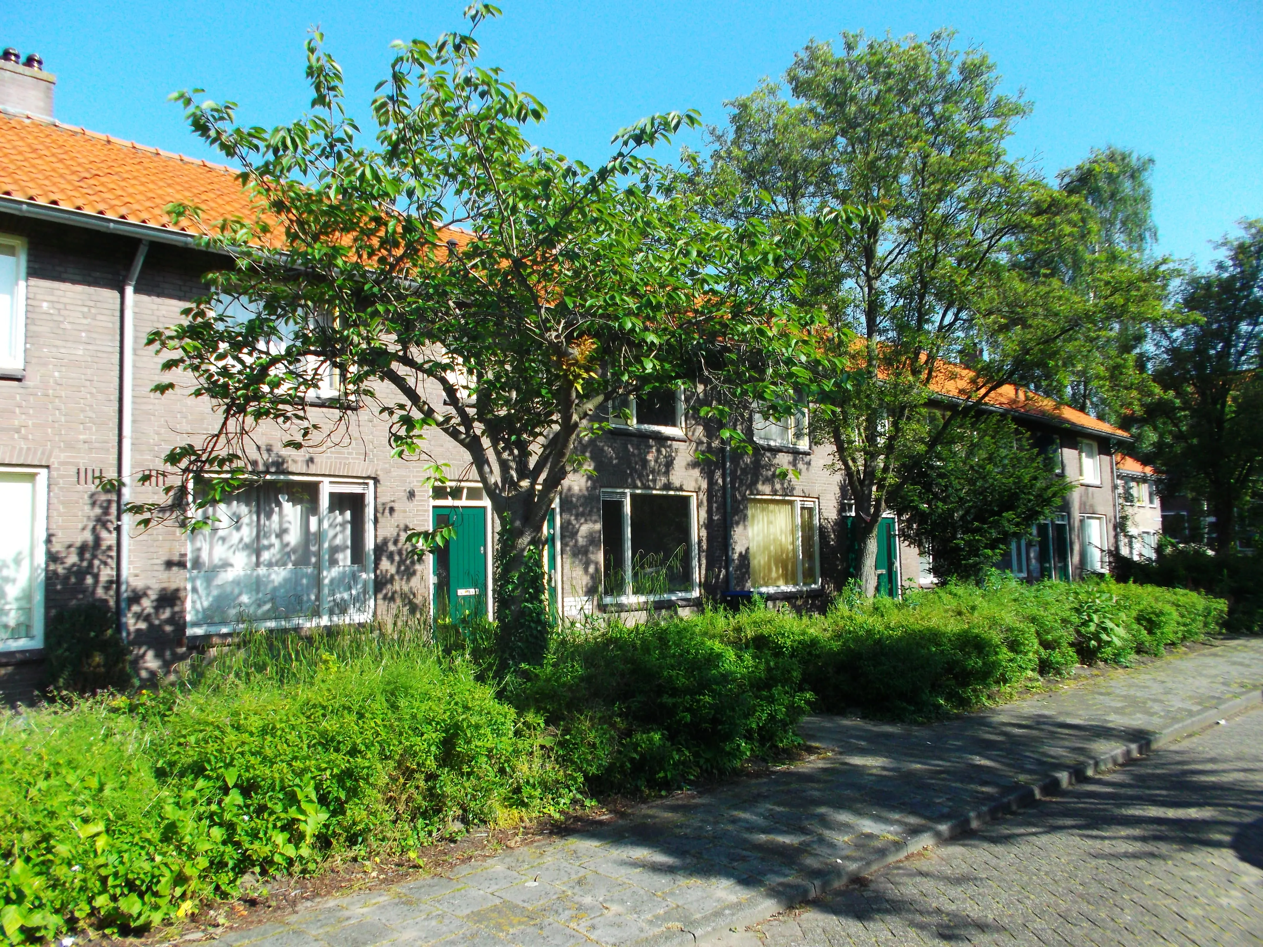 Dr. Boekenoogenstraat
