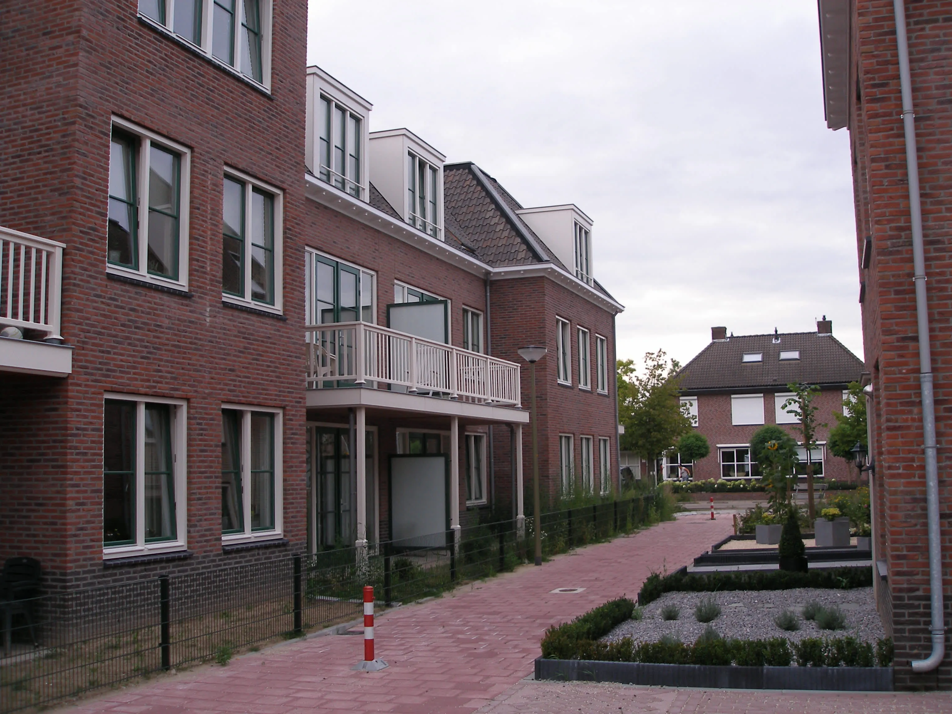 Gelderse Roos