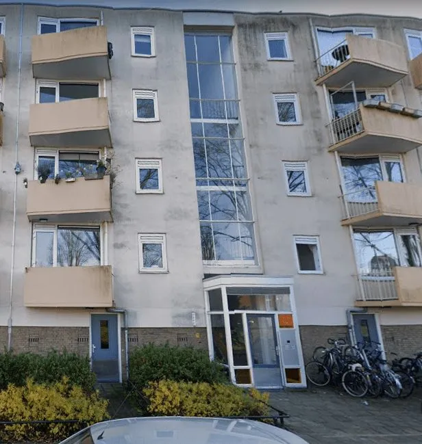 Schonauwensingel