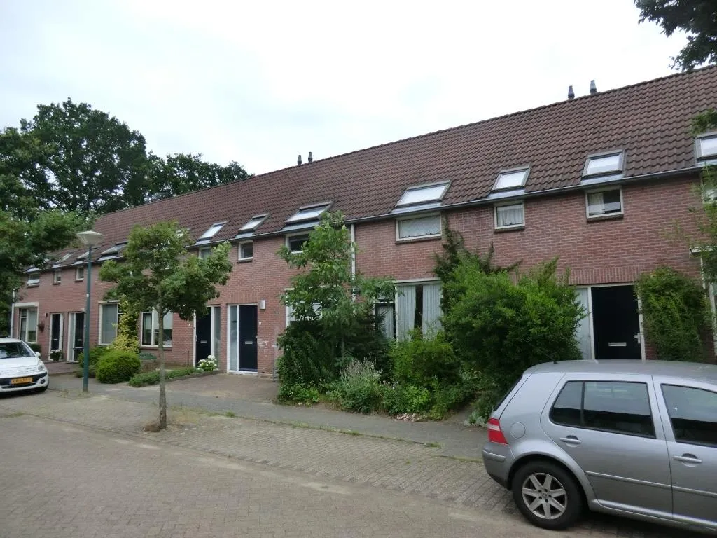 Domineessteek