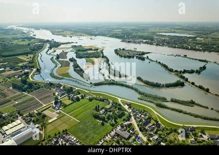 Dodewaard