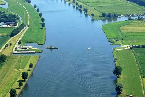 Drongelen