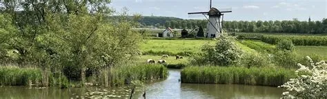 Ravenswaaij