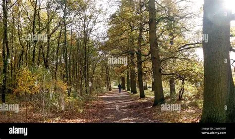 De Bilt