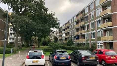 Boerhaavewijk