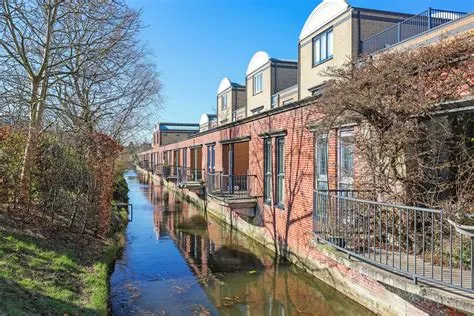 Kattenbroek
