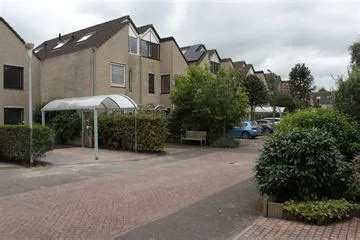 Damsigt en omgeving