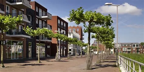 Wijk 02