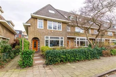 Centrumschil-Noord