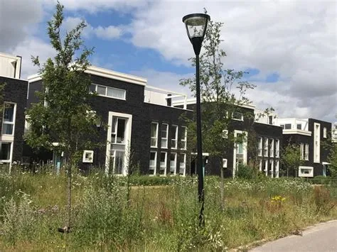 De Wijert-Zuid