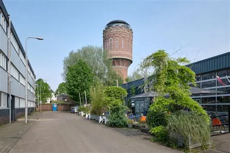 Tolsteeg en Rotsoord
