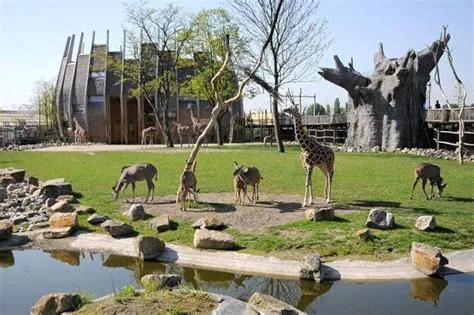 Blijdorp