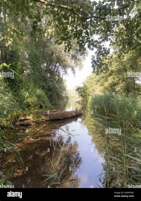 Hoge Dijk