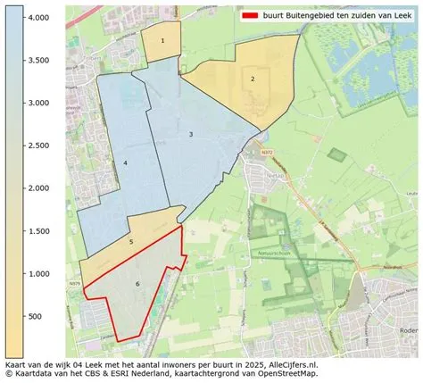 Buitengebied ten zuiden van Leek