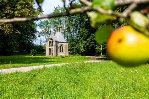 Brakel