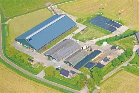 Verspreide huizen Ezinge