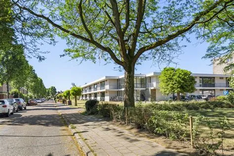 Halderbrink