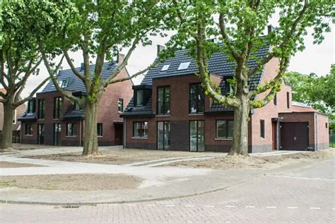 De Zuid