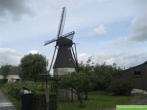 Dussen