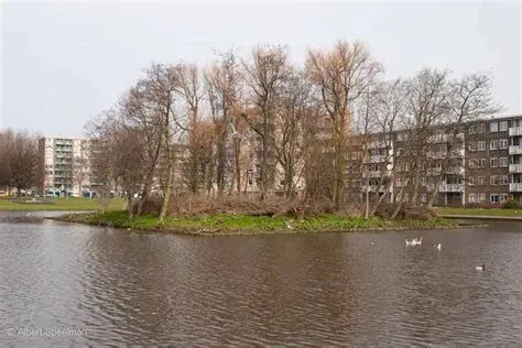 Oosterwijk