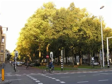 Buiten Wittevrouwen