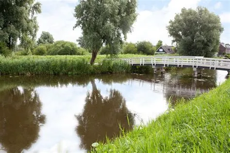 Luijendijk-zuid