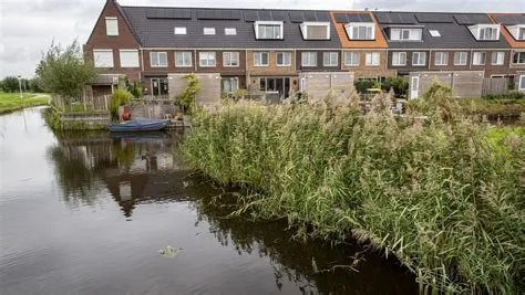 Luijendijk