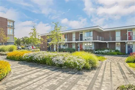 Wilde Veenen
