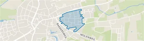 Haarkamp