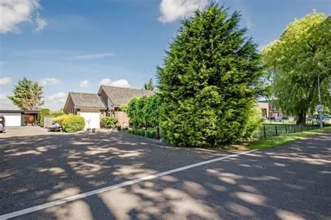 Rijsenhout Omgeving