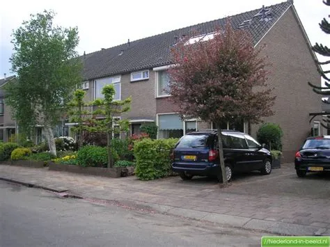 Bovenweg
