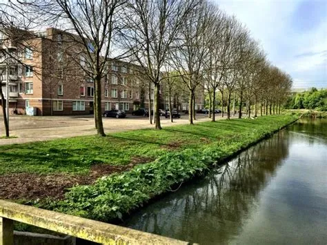 Venserpolder-Oost