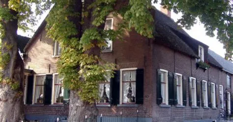 Hogewaard