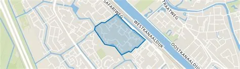 Kamelenspoor
