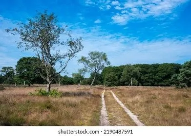 Stroe