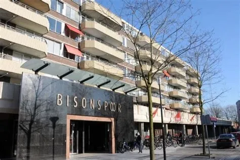 Bisonspoor