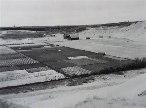 Zanderij