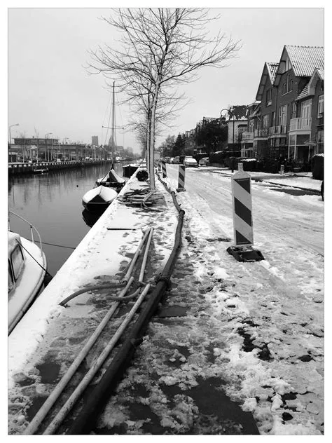 Bosch en Vaart
