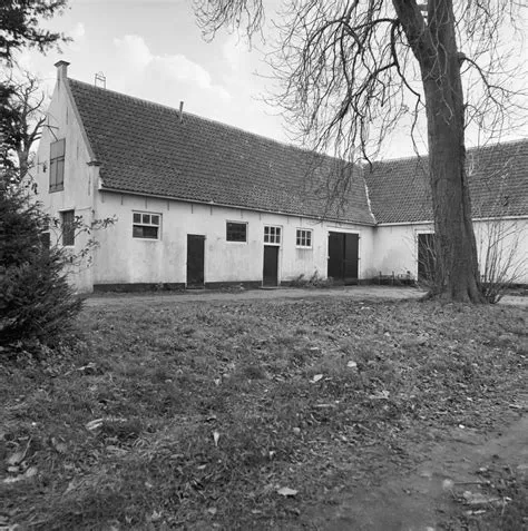 Vogelenzang
