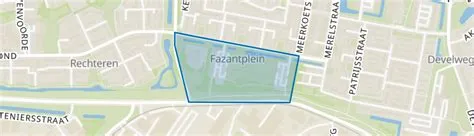 Leeuwerik- en Fazantplein