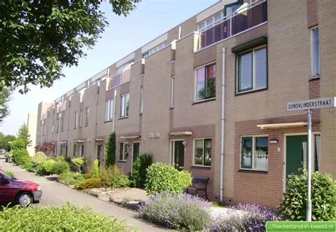 Gelderse Blom