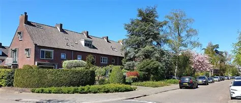 Ooster Eng-Zuid