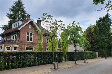 Trompenberg-Zuid