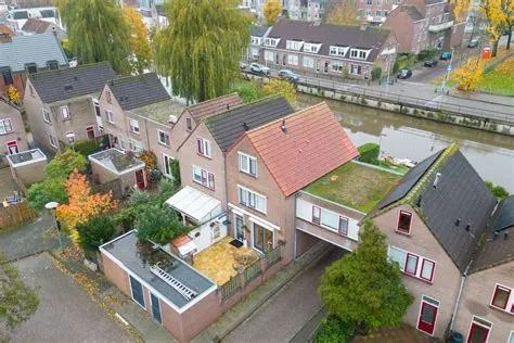 Lauwerecht