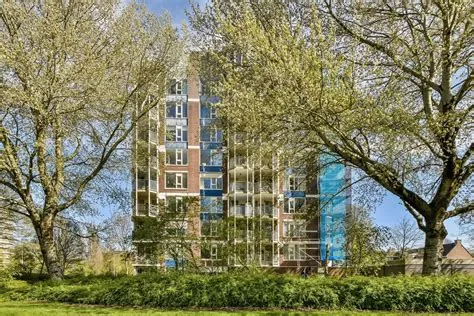 Punterbuurt