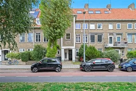 Van Aemstelbuurt